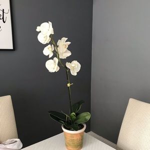 Orchid house arrangement decoration 28”